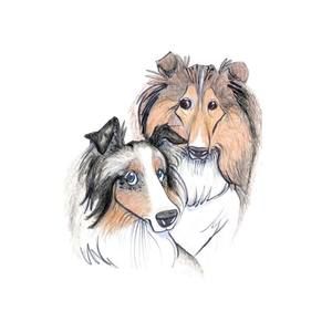 Meet your Posher, Carol